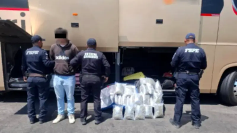 Aseguran 23 kilos de marihuana en maletas de pasajero en autobús de Guanajuato