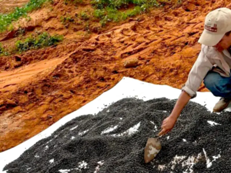 Aseguran continuidad de acopio de frijol en Zacatecas pese a incendio