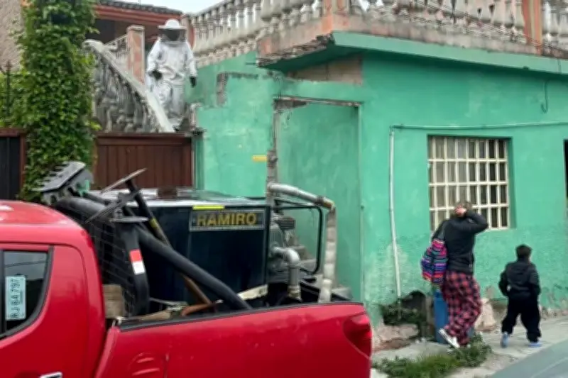 Ataque masivo de abejas en funeral de Galeana deja 12 heridos