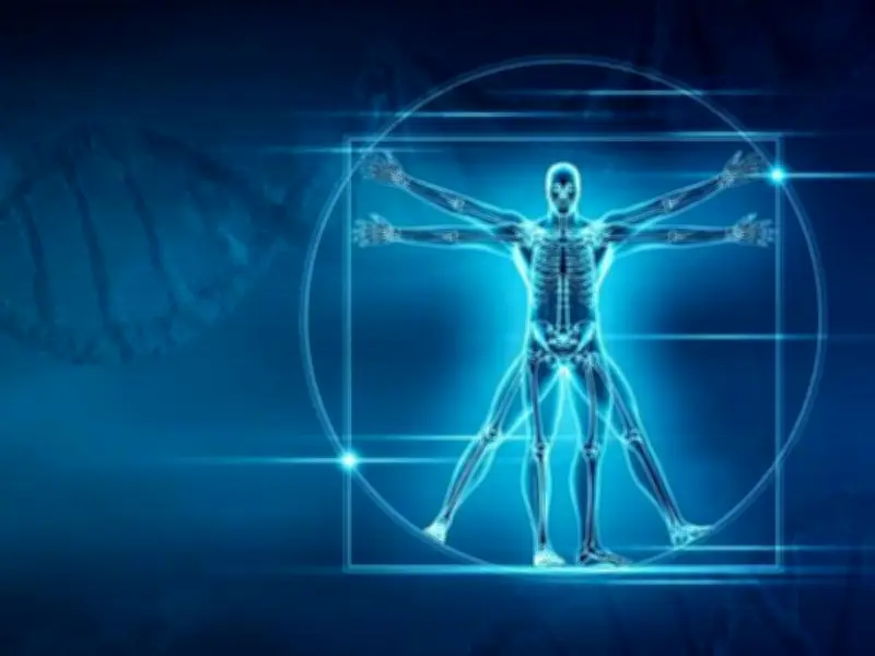 Atlas 3D Revoluciona el Estudio de la Anatomía Humana con Imágenes Microscópicas