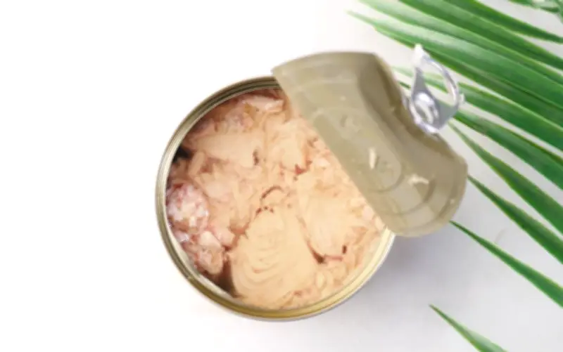 Atún en lata: ¿Es saludable comerlo a diario? Expertos advierten riesgos por mercurio