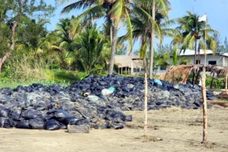 Atribuyen a Protección Civil de Veracruz abandono de chapopote en playas
