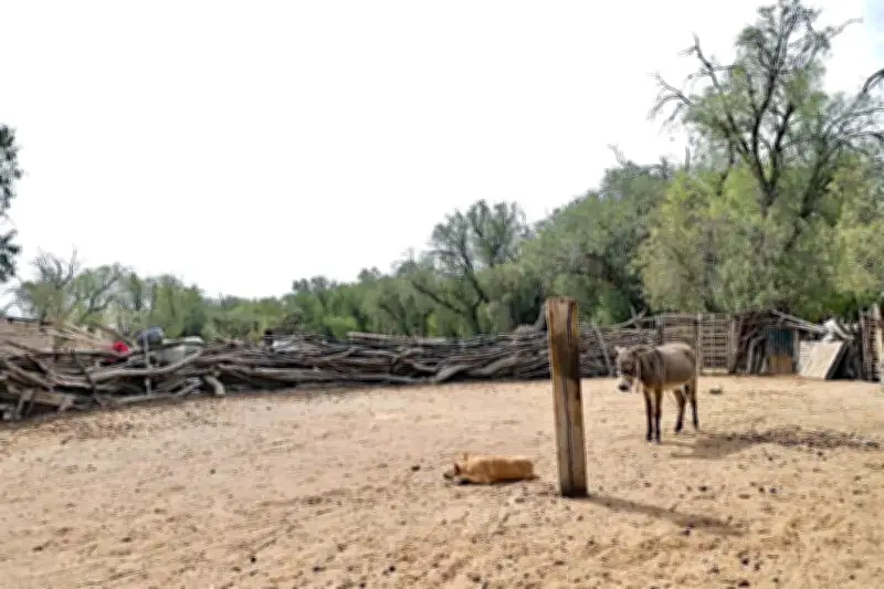 Aumentan a 19 los municipios con sequía en marzo, según reporte oficial