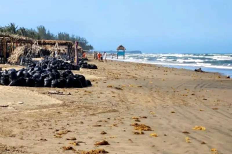 Autoridades afirman limpieza de playas, pero persiste recolección de crudo en costas mexicanas