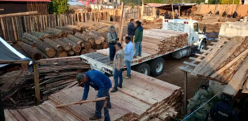 Autoridades clausuran aserraderos ilegales y aseguran tierra en el Bosque de Agua