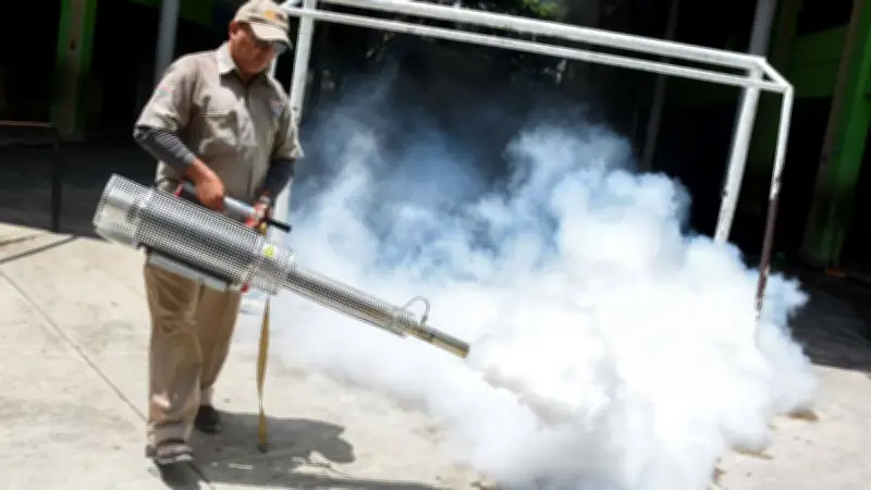 Autoridades confirman primeras muertes por dengue en 2026 en México