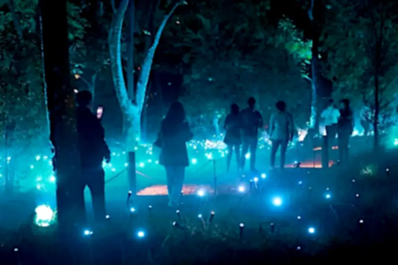 Autoridades eximen de permisos evento en el Bosque de Chapultepec