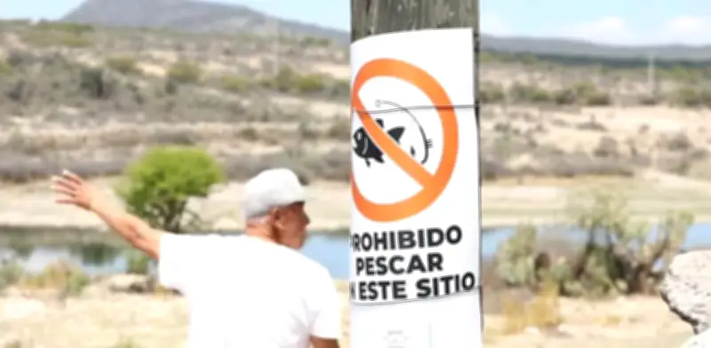 Autoridades restringen pesca en presa de Huichapan tras hallazgo masivo de peces muertos