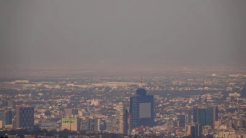 Autos que circulan domingo 26 abril por contingencia CDMX