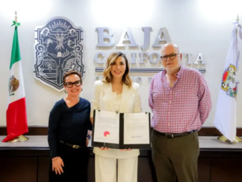 Baja California impulsa ley para fortalecer su industria vitivinícola con estímulos fiscales