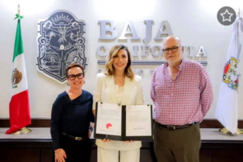 Baja California impulsa nueva ley para fortalecer la industria vitivinícola local