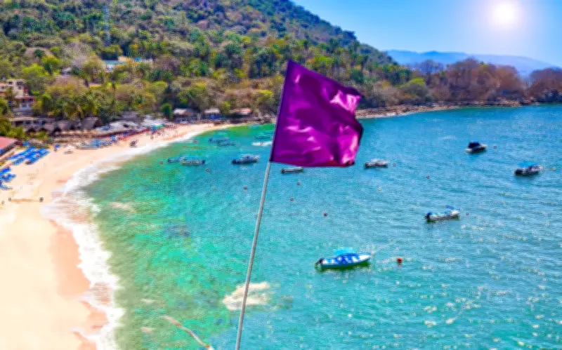 Bandera Morada en la Playa: El Peligro de las Malaguas en Costas de Jalisco y Nayarit