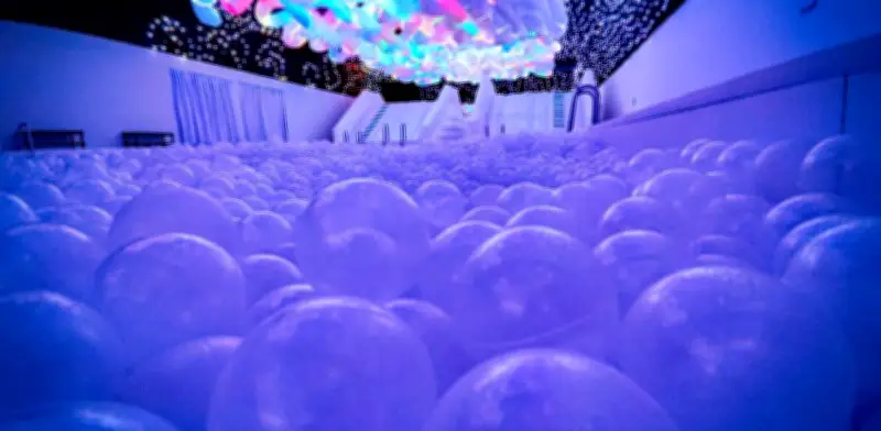 Blow Up Experience amplía temporada en México hasta el 3 de mayo en MUNET