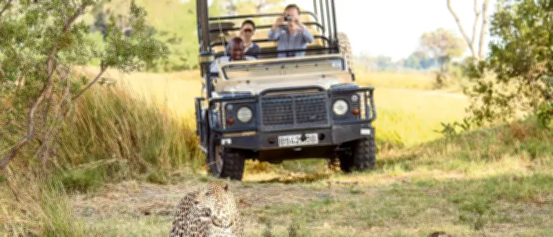 Botsuana: El corazón salvaje de África con safaris únicos en el Delta del Okavango