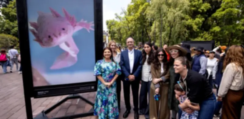 Brugada Inaugura Festival Aqüifera 2026 en Chapultepec con Ceremonia a Tláloc