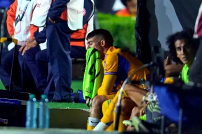 Brunetta reconoce su potencial para mejorar en el equipo nacional de México