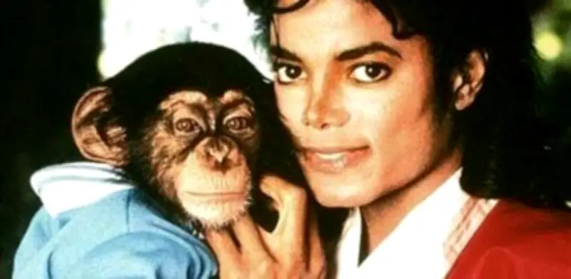 Bubbles, el chimpancé de Michael Jackson: De la fama mundial a la tranquilidad en un santuario