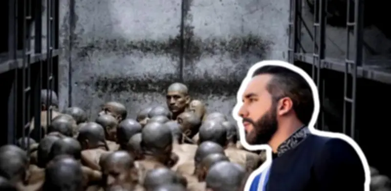 Bukele responde a Petro con polémica propuesta: enviar a TODOS los presos de El Salvador a Colombia