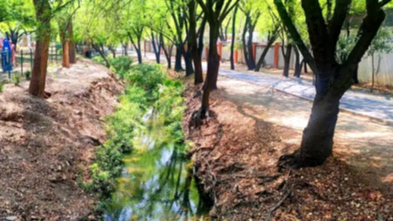 Capitanes de la Liga MX piden a Canelos quedarse en el arroyo