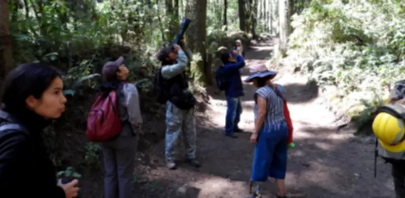 CDMX busca ser la ciudad con más biodiversidad registrada del mundo
