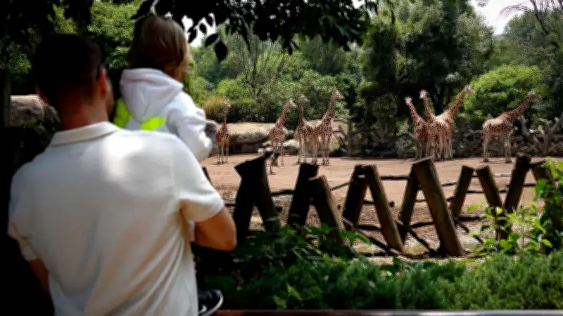 CDMX niega negligencia tras reportaje sobre 384 muertes de animales en zoológicos