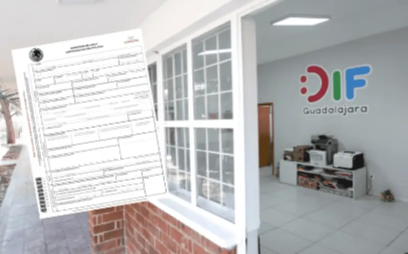 Certificado de Discapacidad en Jalisco: Guía Completa para su Tramitación en 2026