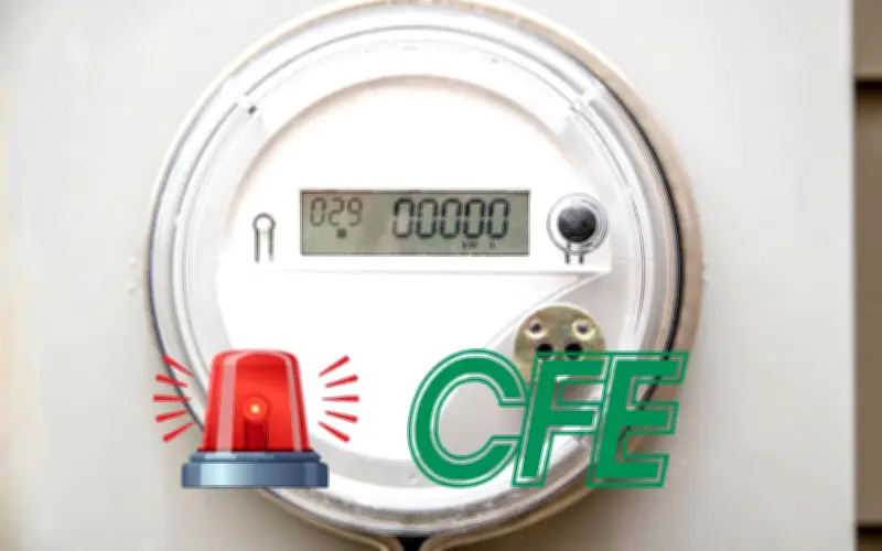 CFE alerta sobre estafas domiciliarias: cómo identificar a falsos empleados y proteger tu dinero