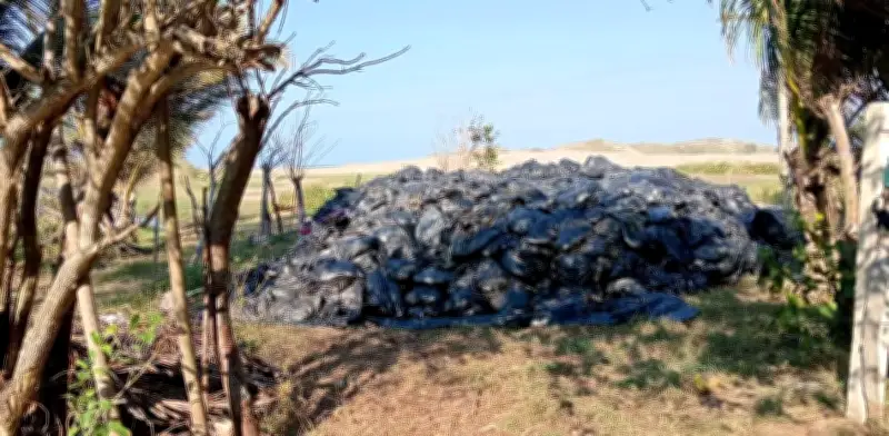 Chapopote en Veracruz: Bolsas con residuos tóxicos abandonadas en playas