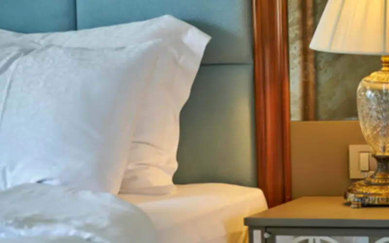 Chinches en Primavera: Cómo Detectar y Proteger tu Cama de Esta Plaga Doméstica