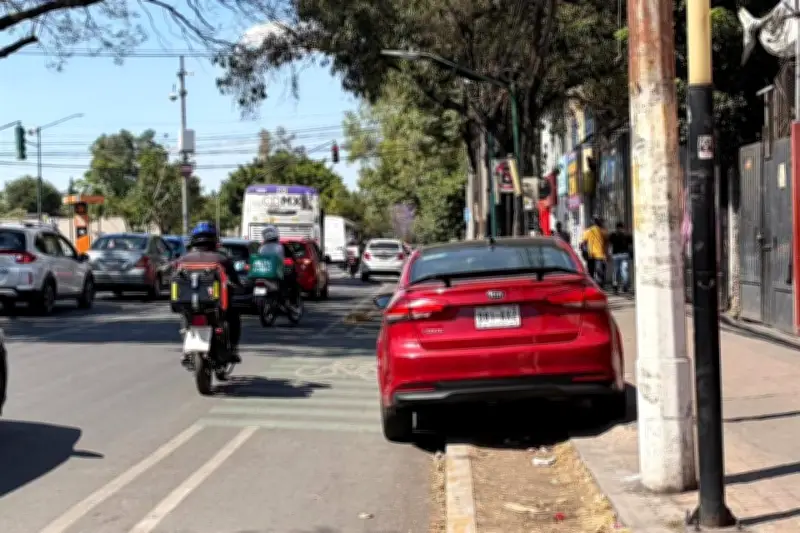 Ciclovía en Miguel Hidalgo Abandonada: Vecinos Denuncian Falta de Mantenimiento