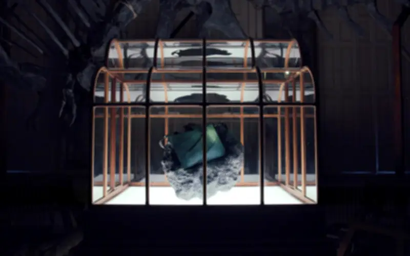 Científicos crean cuero de lujo a partir de proteínas reconstruidas del T-Rex