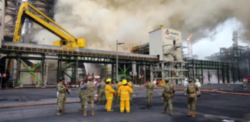Científicos mexicanos transforman estrategia climática ante crisis