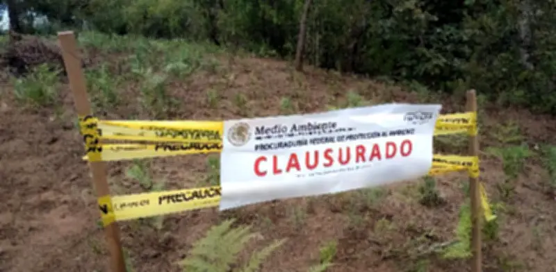Clausuran predios en Edomex por cambio ilegal de uso de suelo forestal