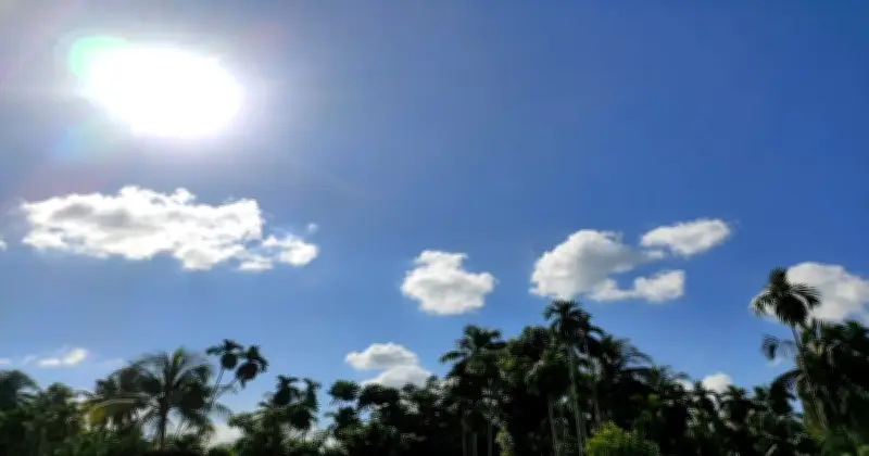 Clima en Chimalhuacán: sábado soleado sin lluvia, máxima 29°C
