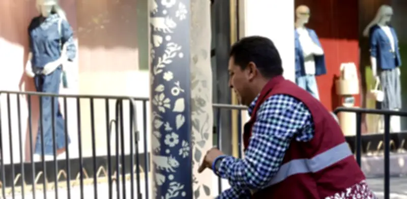 Células vecinales combaten plagas en árboles de la CDMX con programa piloto