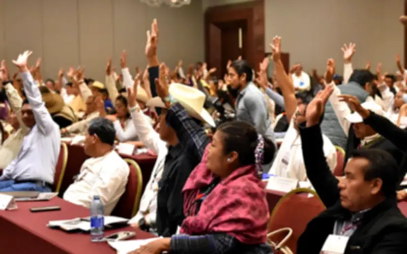 CNPI rechaza partido político indígena en Oaxaca por limitar derechos