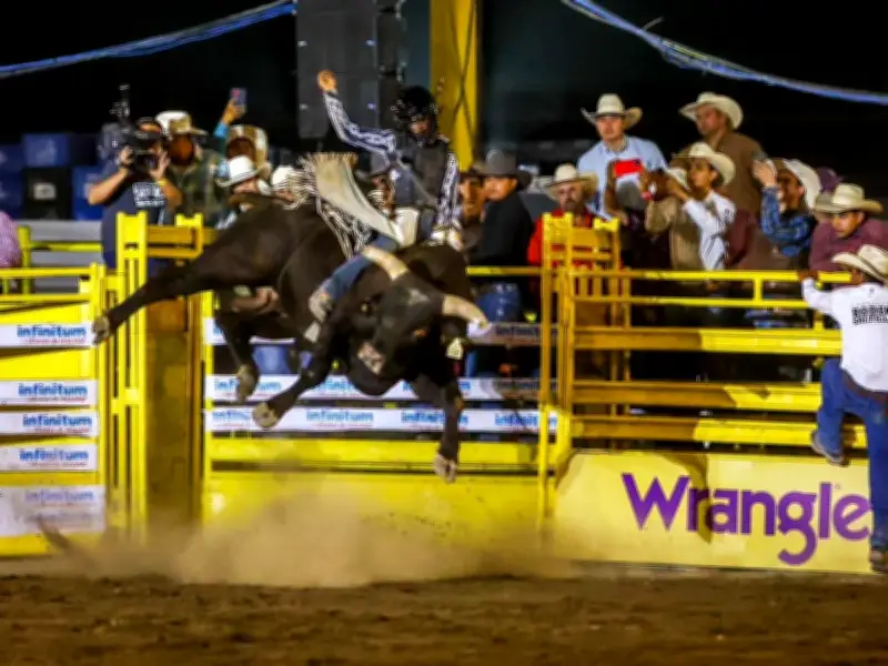 Coahuila Invita a Disfrutar Semana Santa con Actividades Culturales y Seguridad Vial