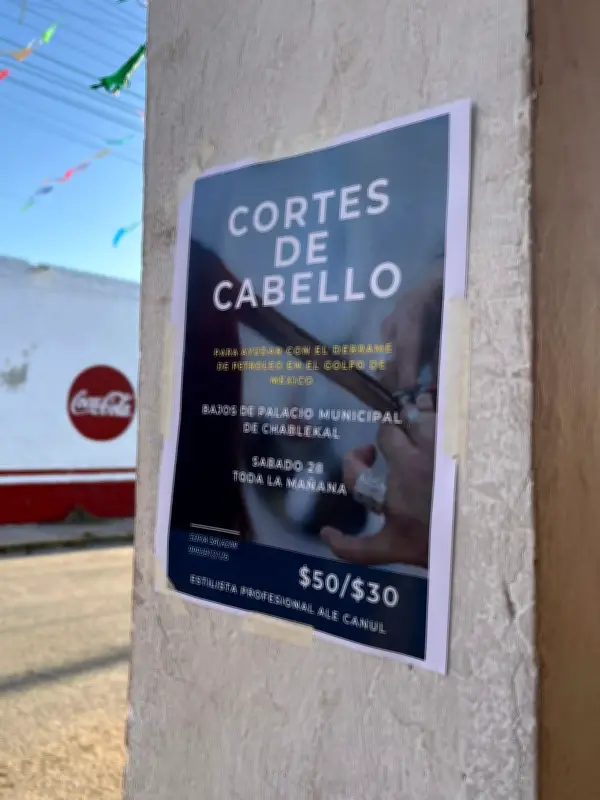 Colecta nacional de cabello: 16 estados unidos para limpiar derrame de petróleo en Veracruz