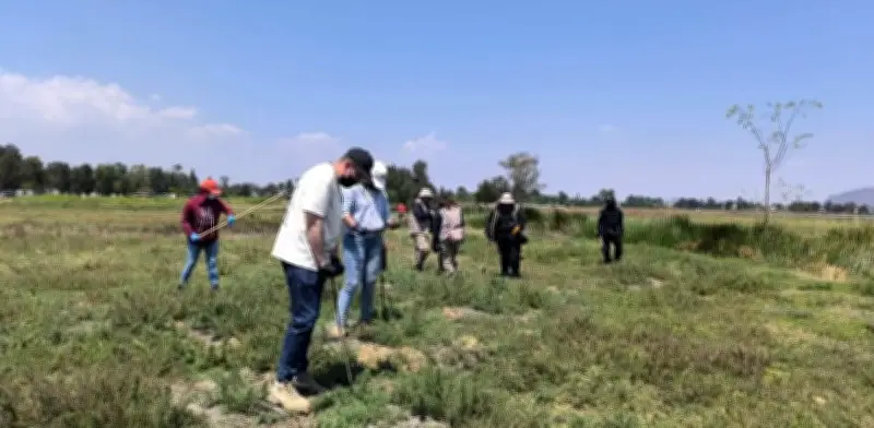 Colectivos hallan más de 200 restos óseos en límites de Tláhuac con Chalco