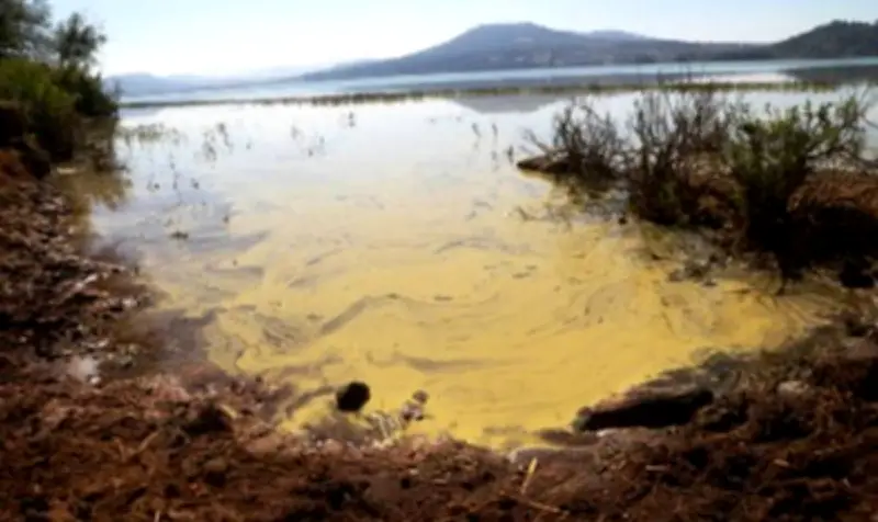 Comuneros de Zirahuén emplazan a gobierno por crisis ambiental en el lago
