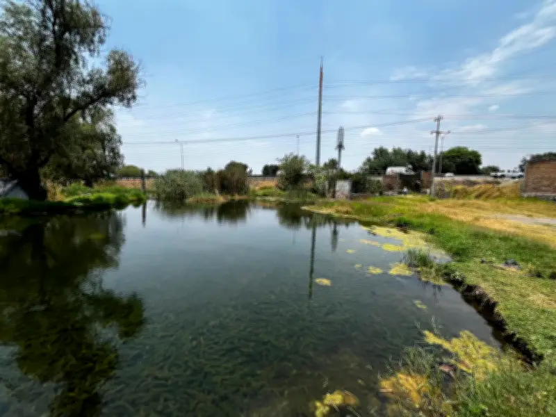Conagua destina 12.8 millones para delimitar acuíferos en Tonalá y recuperar El Barro