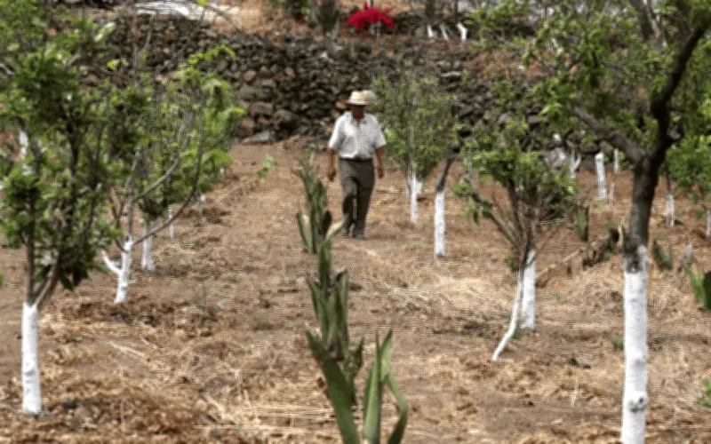 Conagua enfrenta retos en pozos: costo y tecnología limitan su control