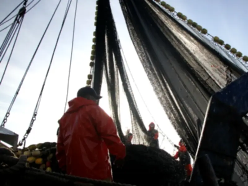 Conapesca establece cuotas de pesca para sardina y anchoveta en 2026