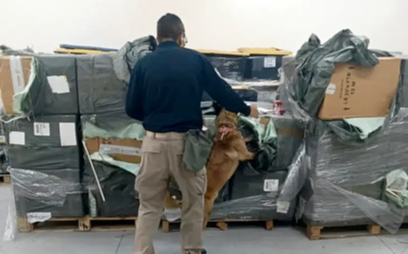 Confiscan más de 1.8 millones de cigarros apócrifos en el AICM con valor de 9.5 millones de pesos