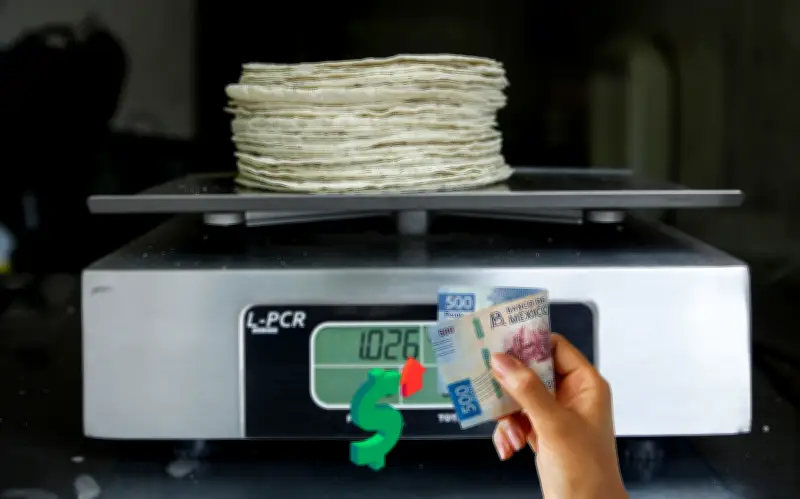 Consejo Nacional de la Tortilla advierte aumento inevitable en precio, Gobierno lo rechaza