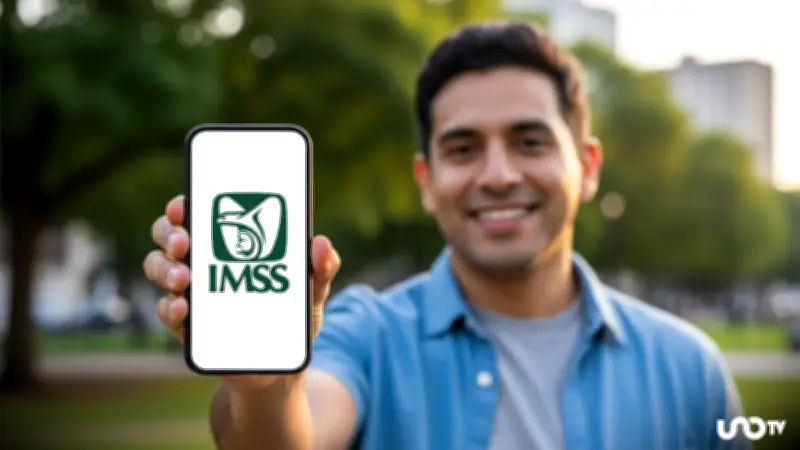 Consulta tus semanas cotizadas en el IMSS en línea: clave para tu pensión
