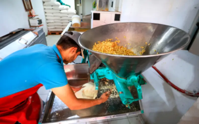 Consumidores critican alza en precio de la tortilla: 'El salario es el mismo'