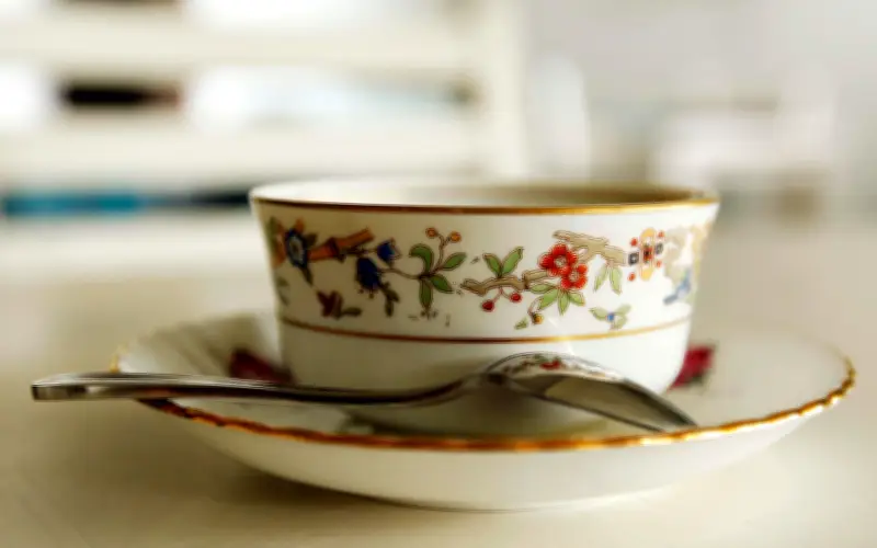 Consumo Diario de Té: Efectos Reales en el Cuerpo y Beneficios Clave