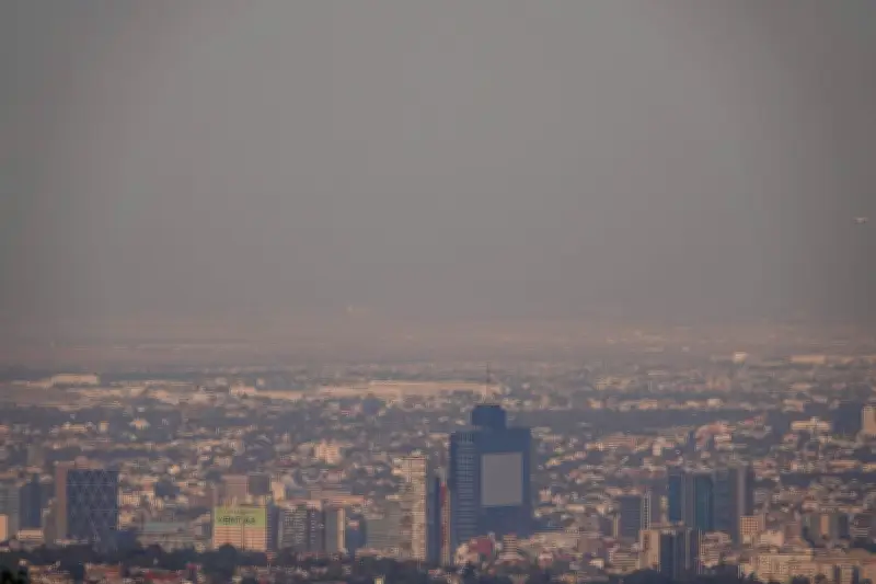 Continúa fase 1 de contingencia ambiental; así aplica el Doble No Circula