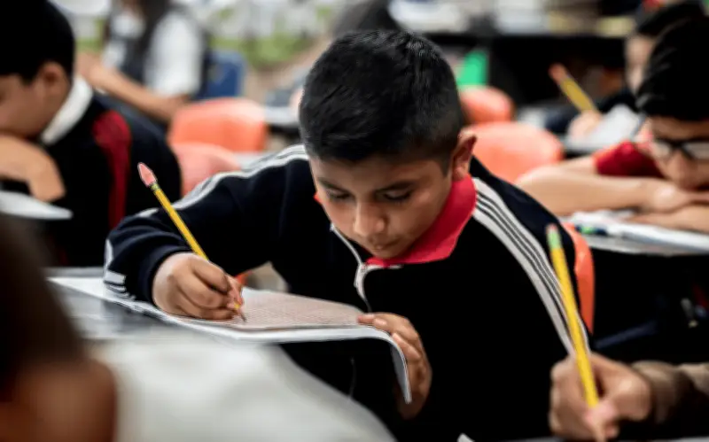 Crisis Educativa en México: Niños de Primaria No Dominan Sumas y Restas